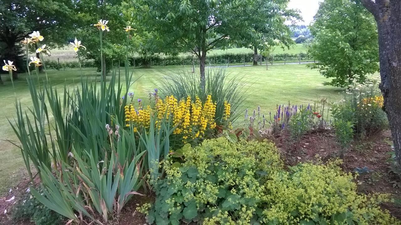 Maison Maton La Roche-lʼAbeille Dış mekan fotoğraf